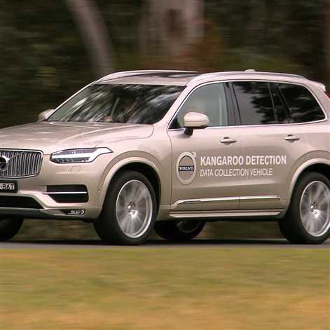 Volvo testuje system zapobiegający kolizjom z kangurami