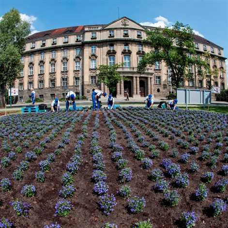 Volkswagen Group Polska promuje ideę Think Blue