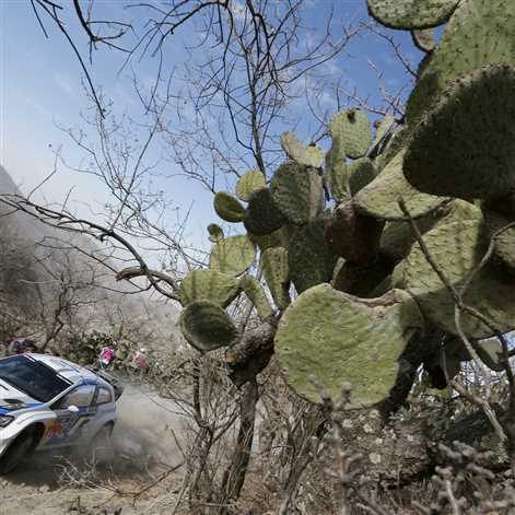 Sebastien Ogier triumfuje w Rajdzie Meksyku